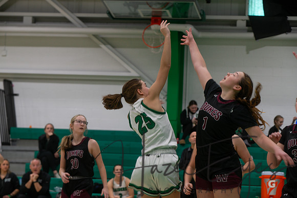 2024-2025 BB JV Girls vs Wellington 01182025- (14)