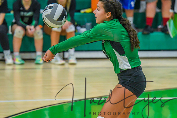 2022 VOLLEYBALL vs Firelands 09122022-49