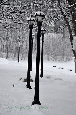 Winter.2