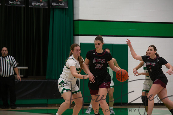2024-2025 BB JV Girls vs Wellington 01182025- (28)
