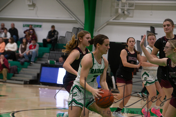 2024-2025 BB JV Girls vs Wellington 01182025- (31)