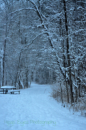 Winter.14
