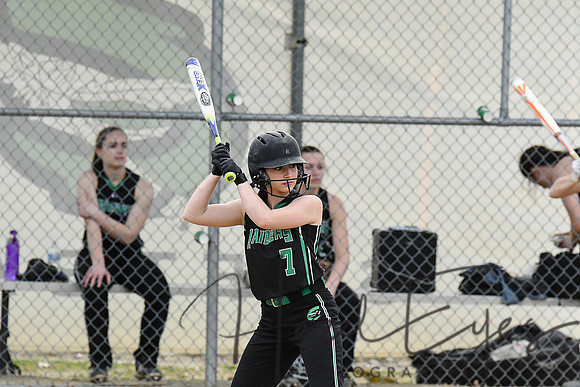 2018 Varsity Softball vs. Brooklyn at Home-23