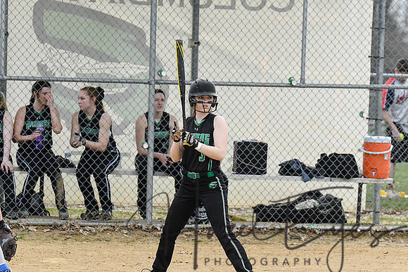 2018 Varsity Softball vs. Brooklyn at Home-39