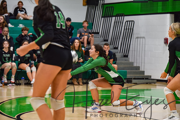 2023 VOLLEYBALL vs Firelands 10052023-8