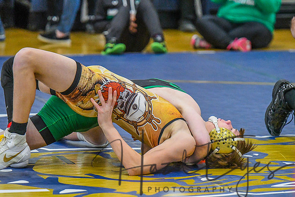 2021-2022 Wrestling Districts 03052022-2