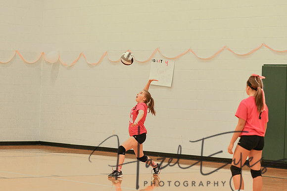 2018 CMS Volleyball - Volley for the Cure-57