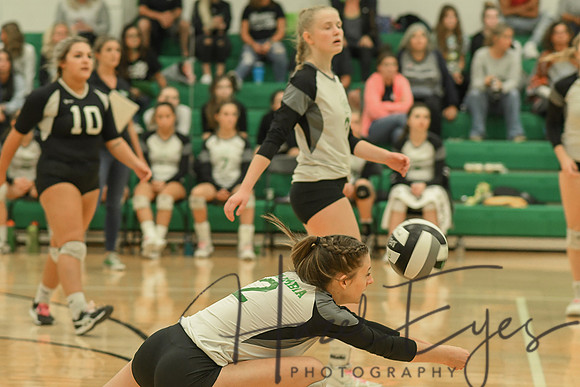 2018 CHS Volleyball vs Brooklyn-96