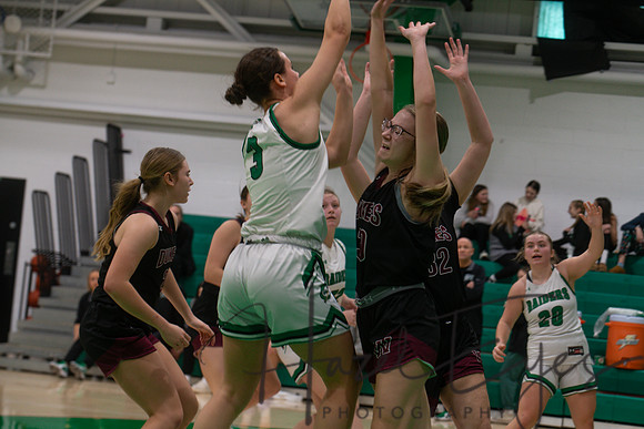 2024-2025 BB JV Girls vs Wellington 01182025- (32)