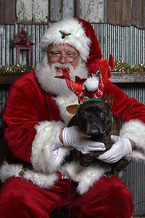 2023 Santa Pics at the Farm 12092023-78