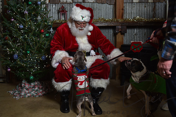 2023 Santa Pics at the Farm 12092023-127