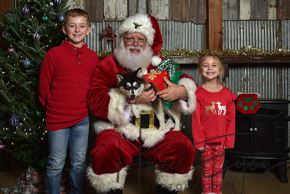 2023 Santa Pics at the Farm 12092023-133