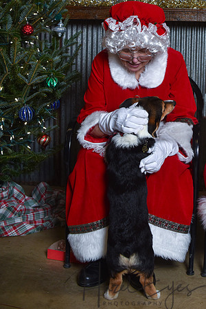 2023 Santa Pics at the Farm 12102023 -71