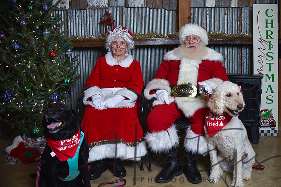 2023 Santa Pics at the Farm 12102023 -92