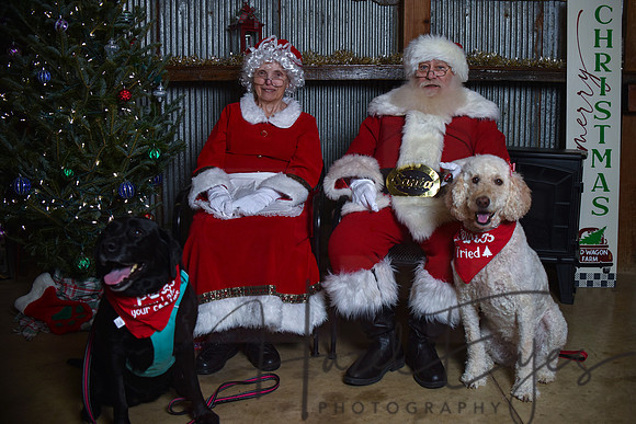 2023 Santa Pics at the Farm 12102023 -93