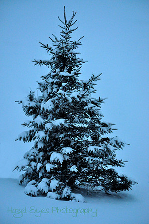 Winter.15