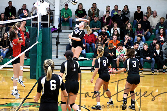 Volleyball vs LW 1