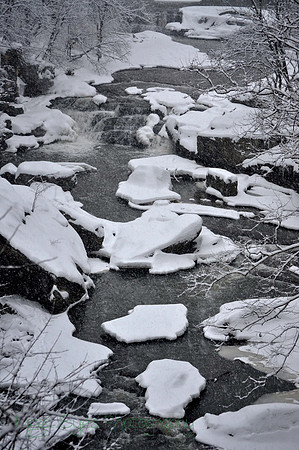 Winter.7