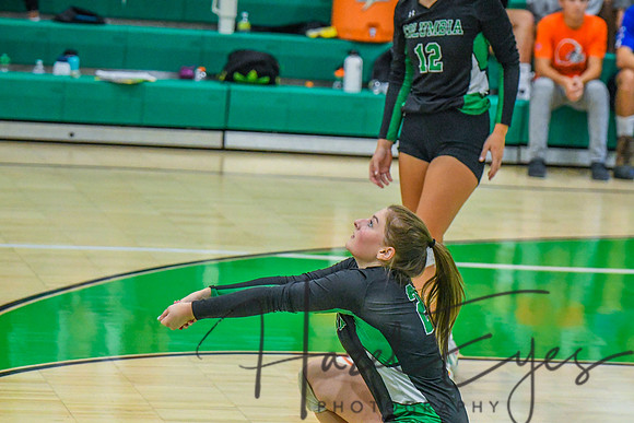 2022 VOLLEYBALL vs Firelands 09122022-12