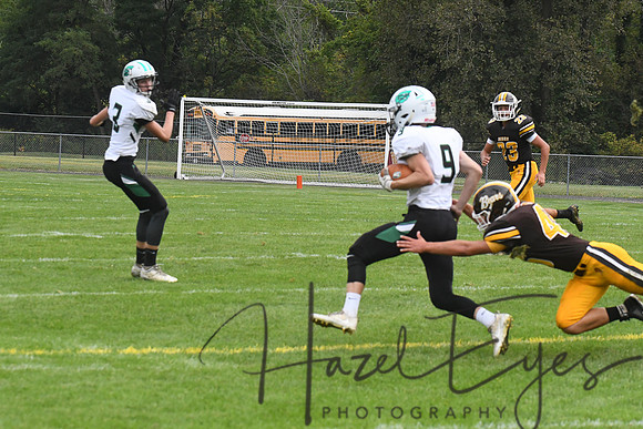 2019 CHS JV Football G2 vs Wayne Dale-14