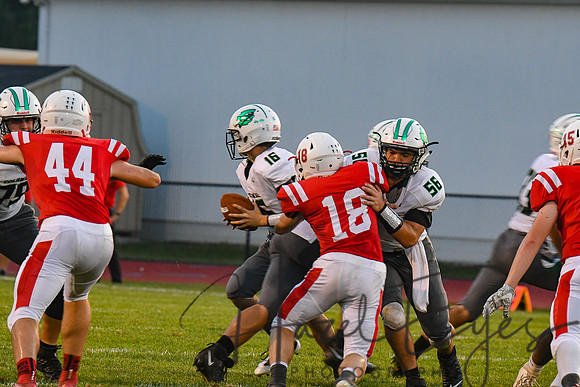 2019 CHS Football Game 4 vs Firelands-207
