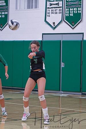 2019 Volleyball vs Black River-12