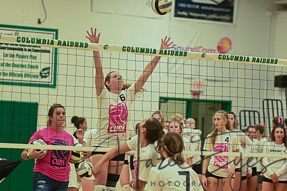 2020 Volleyball vs Brookside-4