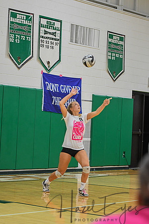 2020 Volleyball vs Brookside-49