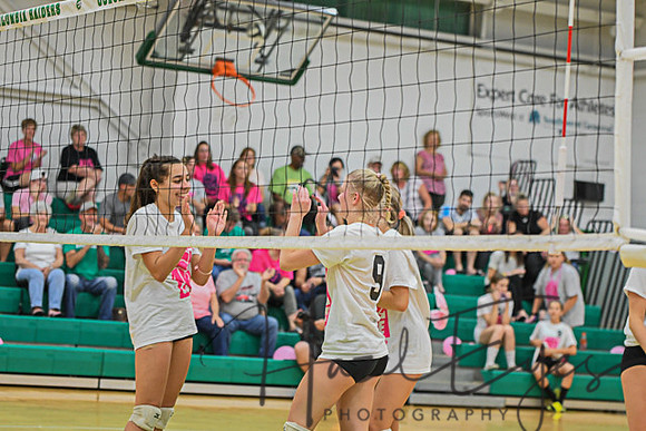 2020 Volleyball vs Brookside-76