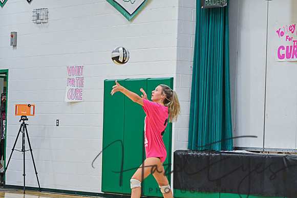 2020 Volleyball vs Brookside-117