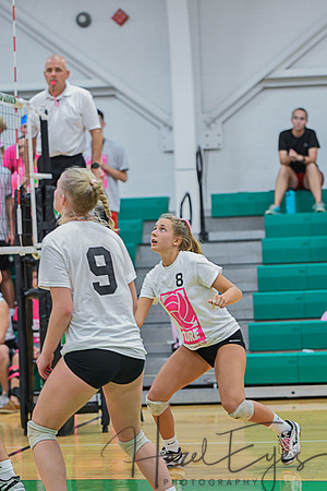 2020 Volleyball vs Brookside-131