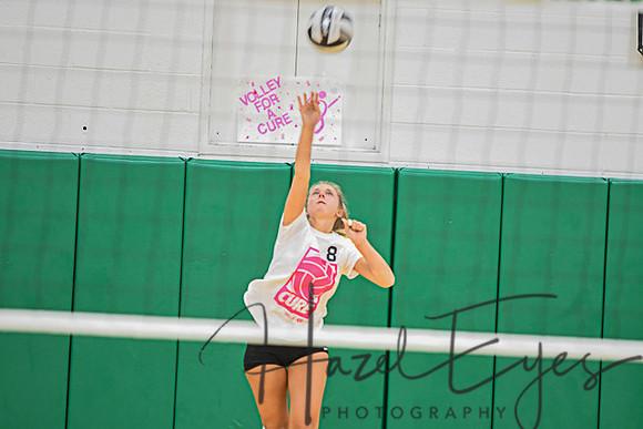 2020 Volleyball vs Brookside-144