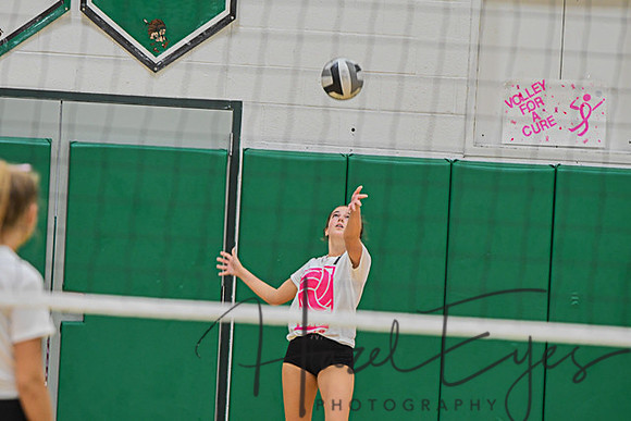 2020 Volleyball vs Brookside-153
