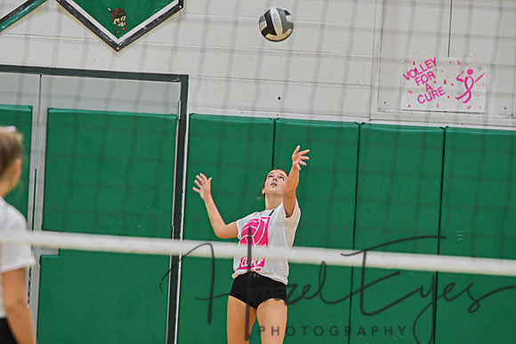 2020 Volleyball vs Brookside-154