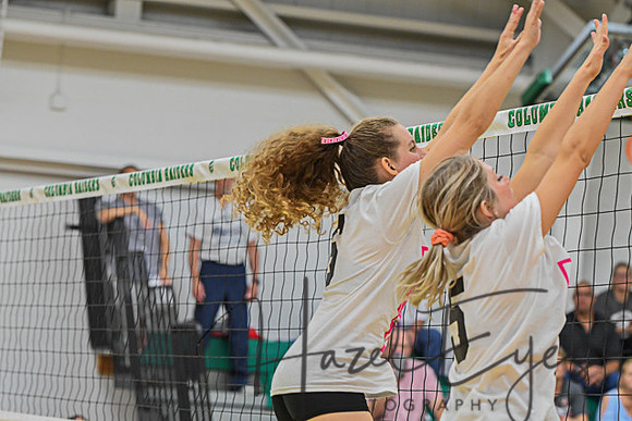 2020 Volleyball vs Brookside-171