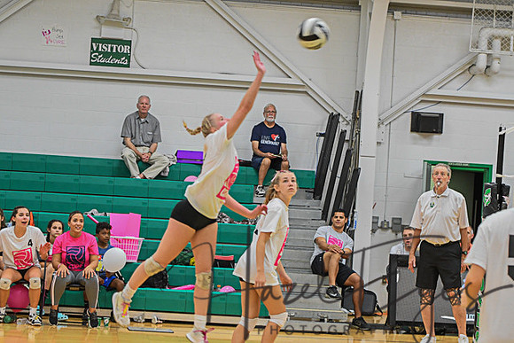 2020 Volleyball vs Brookside-173