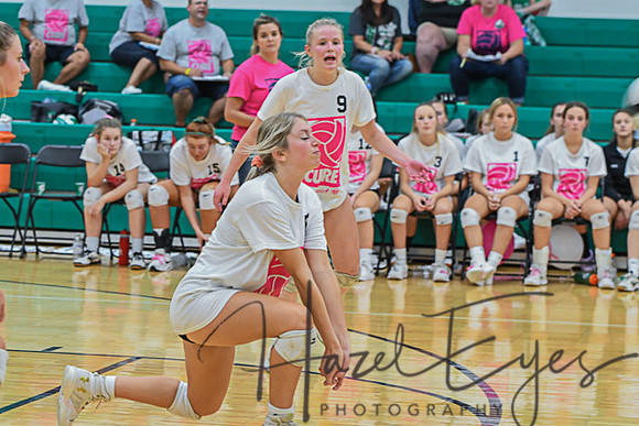 2020 Volleyball vs Brookside-181