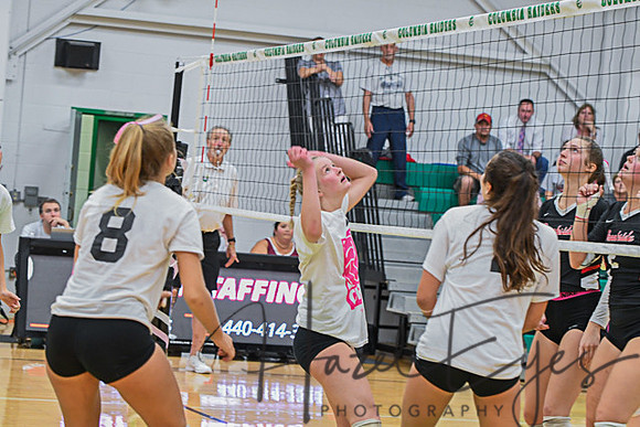 2020 Volleyball vs Brookside-188
