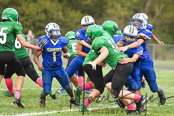 2019 CMS Vs Clearview-99