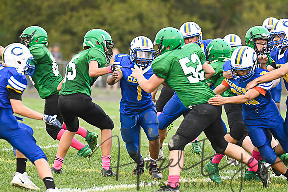 2019 CMS Vs Clearview-101
