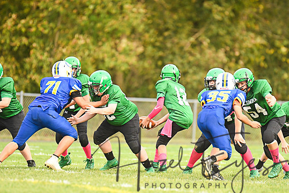 2019 CMS Vs Clearview-157