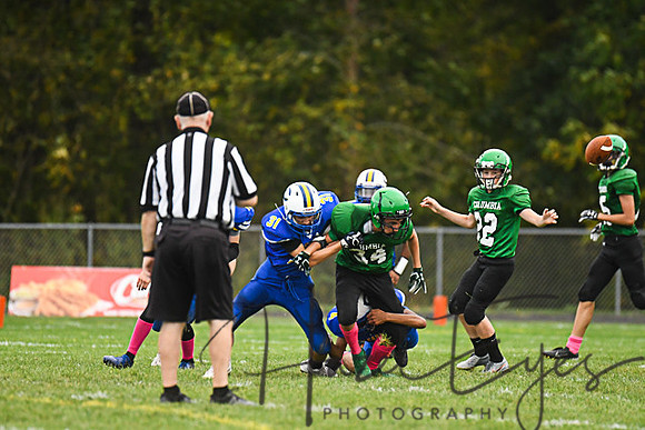 2019 CMS Vs Clearview-201