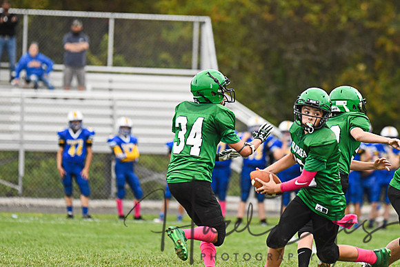 2019 CMS Vs Clearview-203
