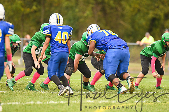 2019 CMS Vs Clearview-247