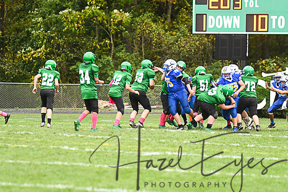 2019 CMS Vs Clearview-311