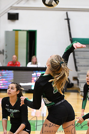 2019 Varsity vs Firelands-36