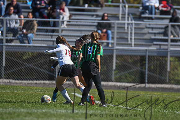 2019 Girls Soccer vs Firelands-8