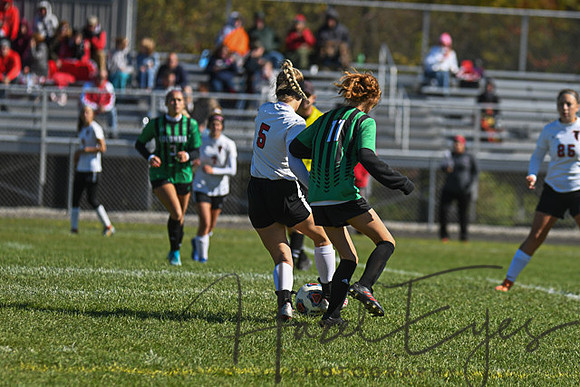 2019 Girls Soccer vs Firelands-13