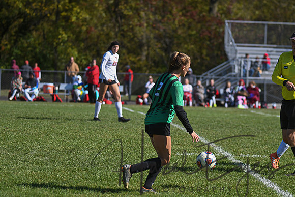 2019 Girls Soccer vs Firelands-75