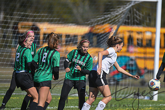 2019 Girls Soccer vs Firelands-87